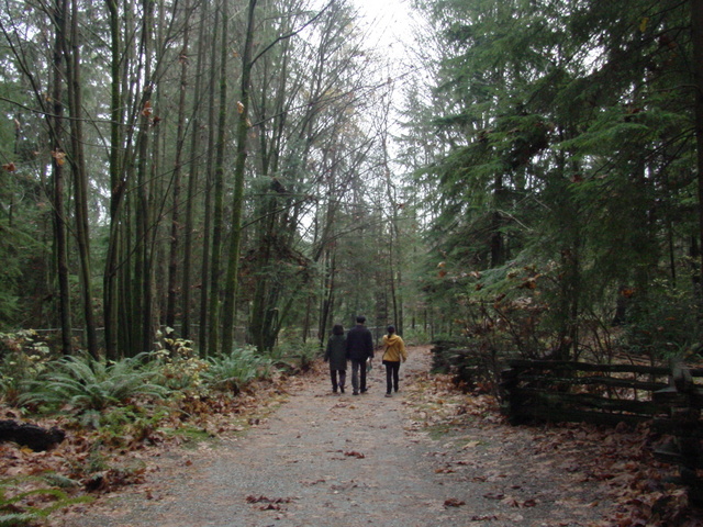 Landscape
 - landscape; Vancouver; Stanley Park; 