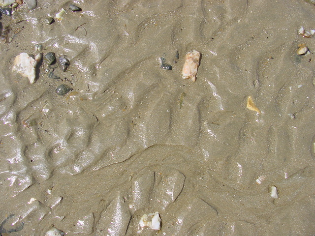 모래와 물결무늬
 - 무창포; 풍경; 