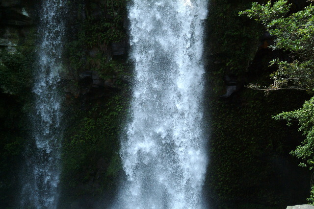 DSCF4830 - 천지연; 폭포; waterfall; 