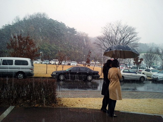 사진101208_005 - 눈; 자동차; 양찬임; 서세진; 우산; 