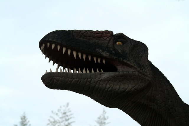 DSCF4423 - 공룡; 티라노사우루스; 