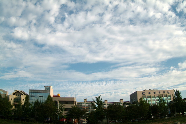 DSCF3883 - 풍경; 하늘; 구름; 유성구청; 어안렌즈; 