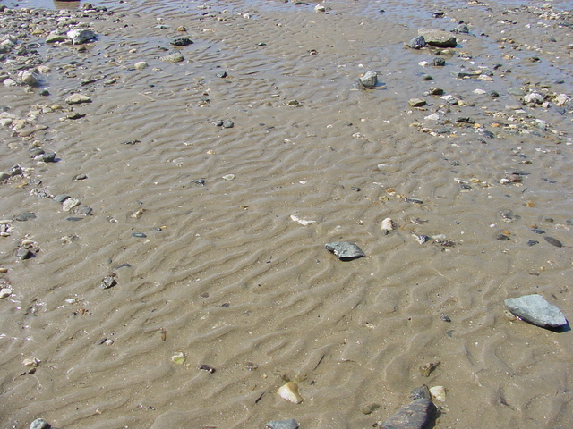 모래와 물결무늬
 - 무창포; 풍경; 물결무늬; 해변; 바닷가; 