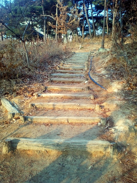 사진110307_001 - 매봉산; 산책로; 산길; 풍경; 계단; 
