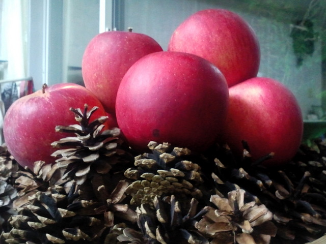 사진111007_004 - 솔방울; 사과; 붉은사과; 