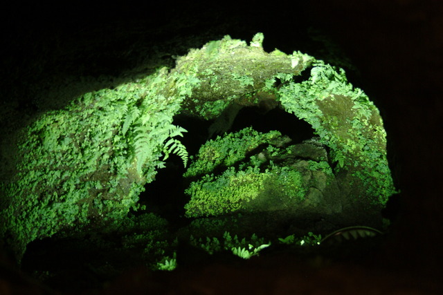 DSCF5220 - 동굴; 동굴까페; 