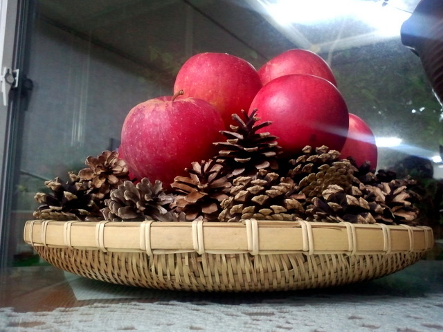 사진111007_003 - 솔방울; 사과; 붉은사과; 