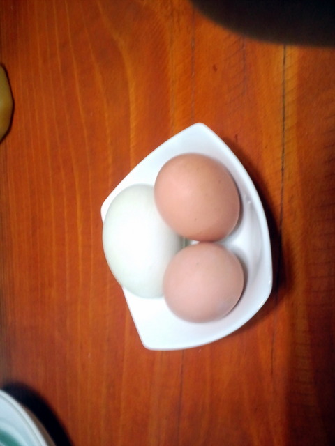 사진100922_016 - 오리알; 달걀; 