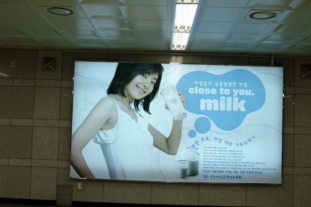 우유광고 (이영은) - 우유; 광고; 이영은; 