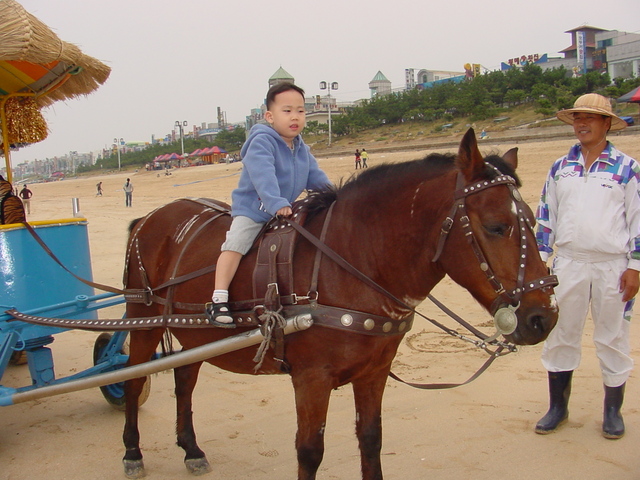 말타는 김창민 - 김창민; 말; horse; 