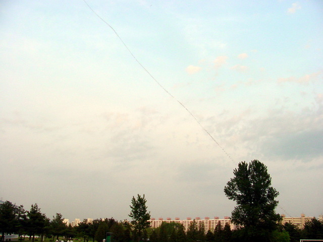 2006.05.04 갑천의 연날리기 풍경
