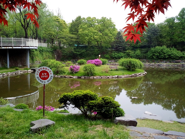 사진110504_003 - 연못; KISTI; 서울분원; 