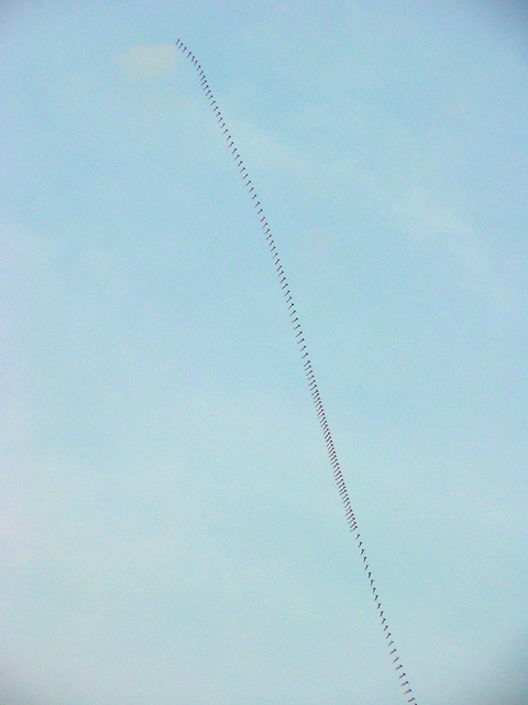 2006.05.04 갑천의 연날리기 풍경