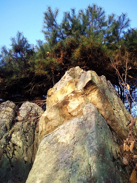 사진110308_007 - 매봉산; 바위; 풍경; 